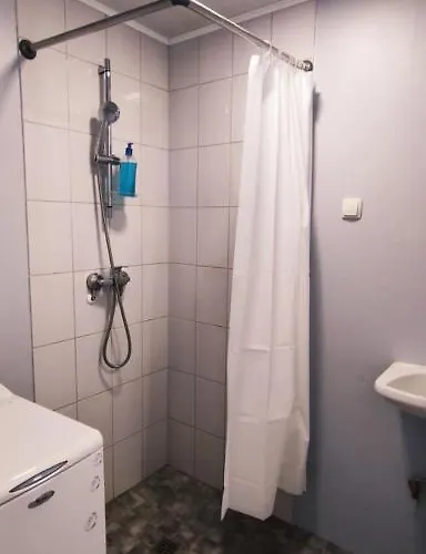 Saerevere Apartament *