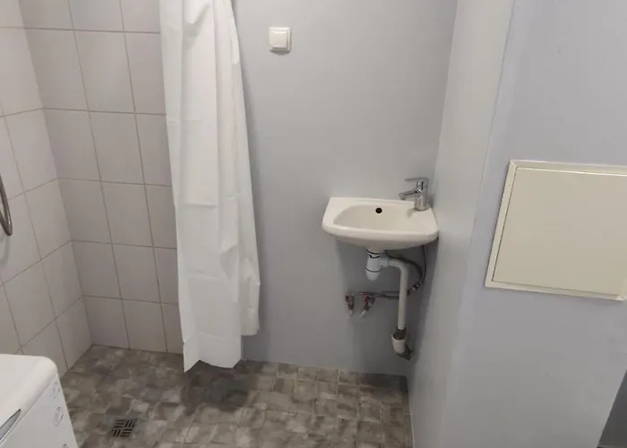 Saerevere Apartament *